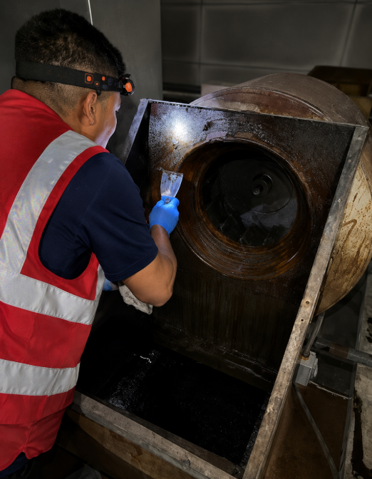 Fan and motor cleaning and restoration